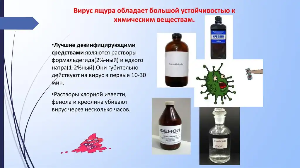 Qué es RyDEP: la proteína viral bautizada con el nombre de Rosalía